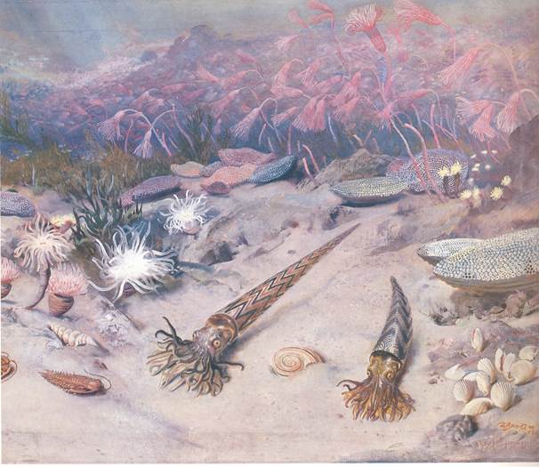 Obrzek (46)