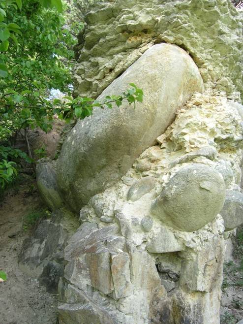 P1010031