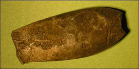 http://geologie.vsb.cz/paleontologie/paleontologie/zoopaleontologie/Mekkysi/%C5%98%C3%A1d%20Belemnitida_soubory/image015.jpg